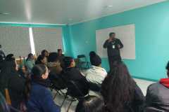 imagenes-4